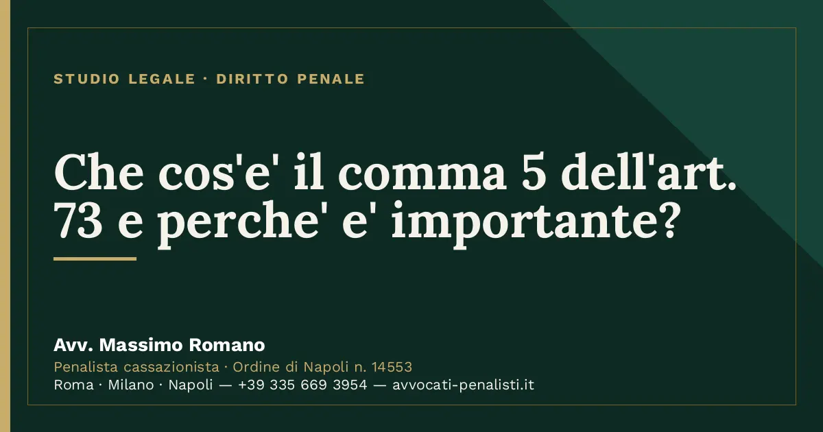 Che cos'e' il comma 5 dell'art. 73 e perche' e' importante? — scheda dello Studio Legale Avv. Massimo Romano