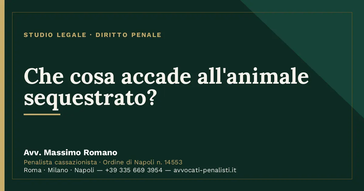 Che cosa accade all'animale sequestrato? — scheda dello Studio Legale Avv. Massimo Romano