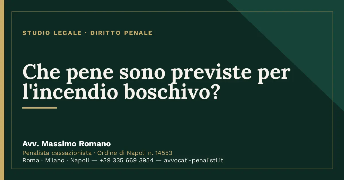 Che pene sono previste per l'incendio boschivo? — scheda dello Studio Legale Avv. Massimo Romano