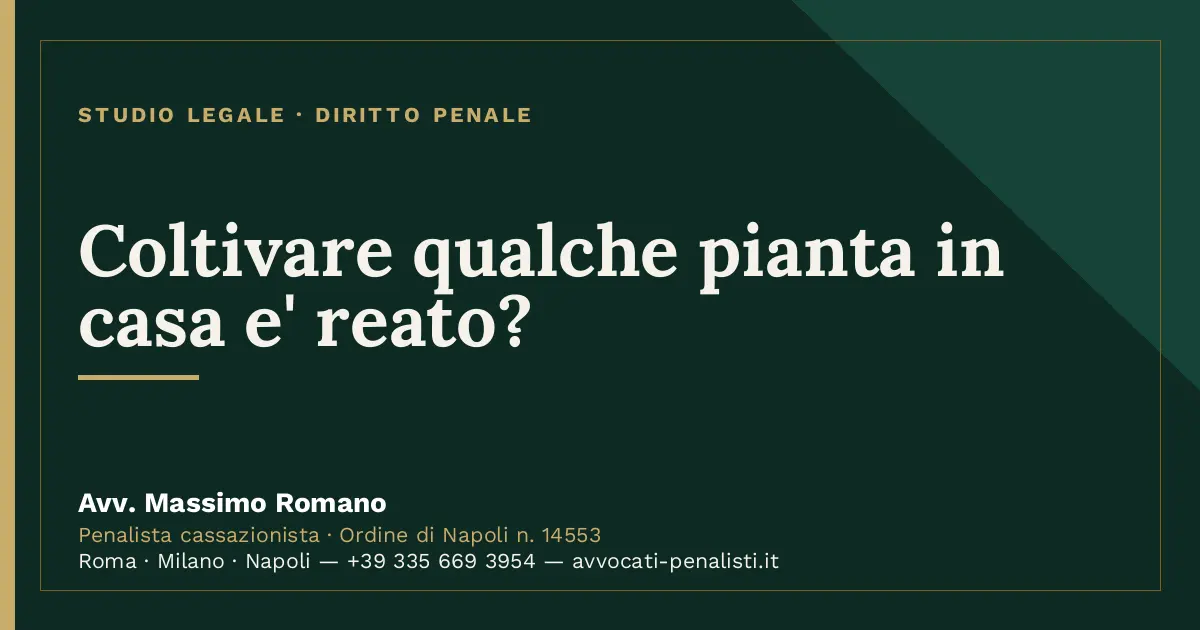 Coltivare qualche pianta in casa e' reato? — scheda dello Studio Legale Avv. Massimo Romano