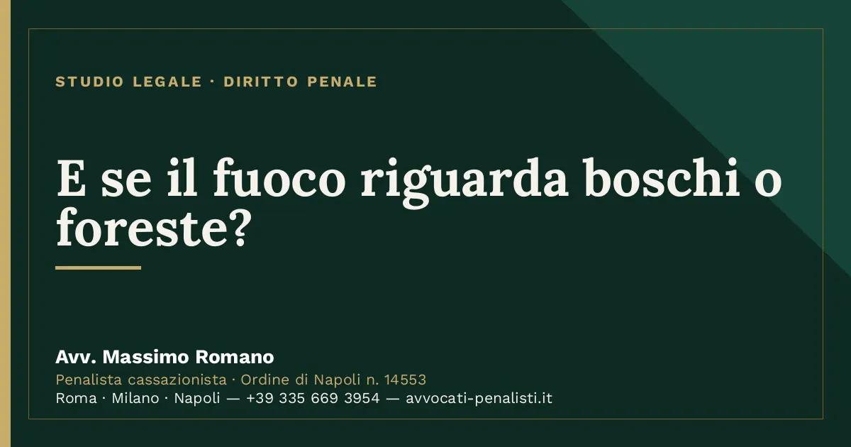 E se il fuoco riguarda boschi o foreste? — scheda dello Studio Legale Avv. Massimo Romano
