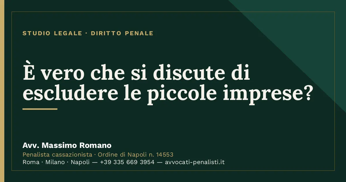 È vero che si discute di escludere le piccole imprese? — scheda dello Studio Legale Avv. Massimo Romano